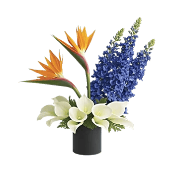 Elegant Calla Lilies