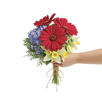 Coral Blossom Harmony