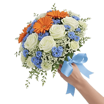 Serene Petal Harmony