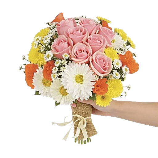 Blushing Rose Symphony