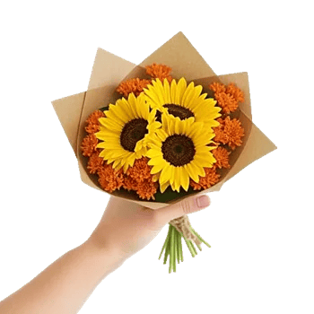 Twinkling Sunflower Dance