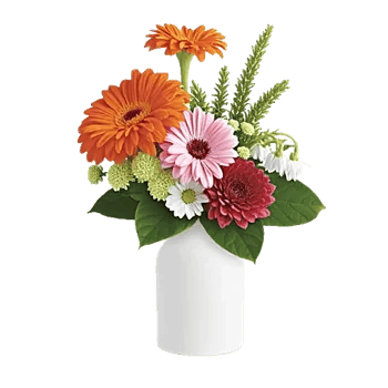 Petal Radiance Bliss