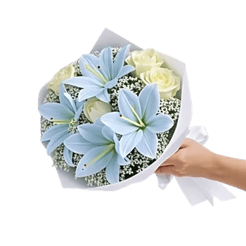 Blossom Petal Serenity