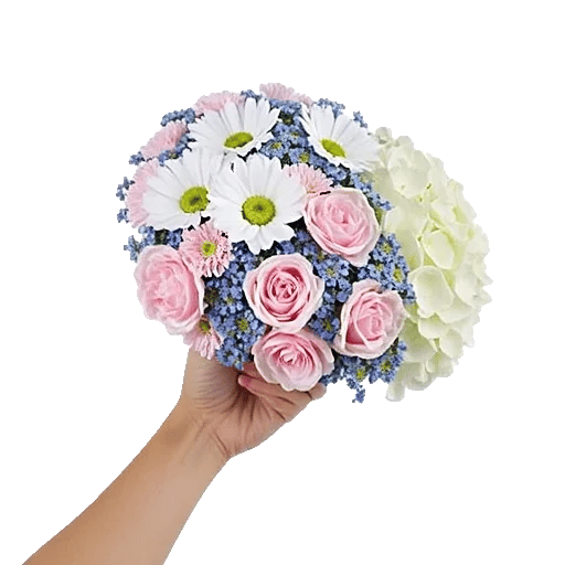 Petal Harmony Bliss