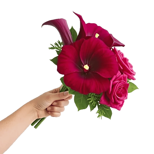 Elegant Calla Lilies