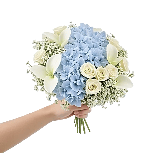 Serene Petal Harmony