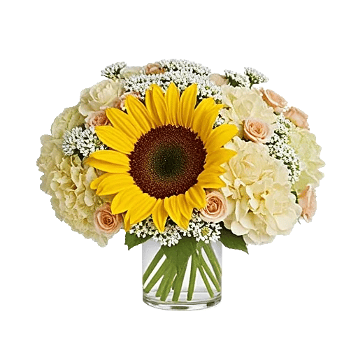 Radiant Bloom Cascade