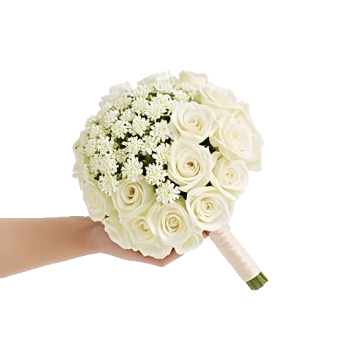 Ivory Garden Grace