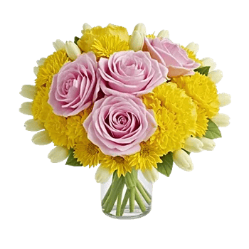 Petal Radiance Bliss