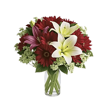 Serene Lily Cascade