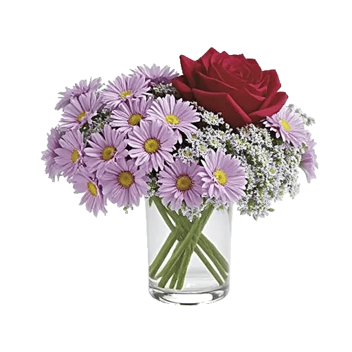 Delicate Petal Cascade