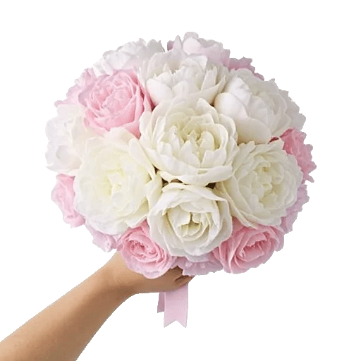 Peony Petal Harmony