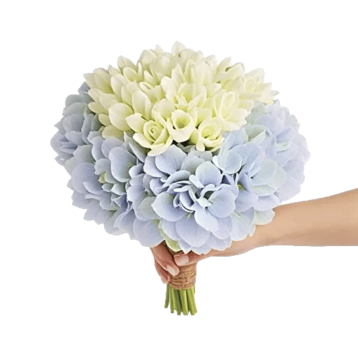 Serene Petal Harmony