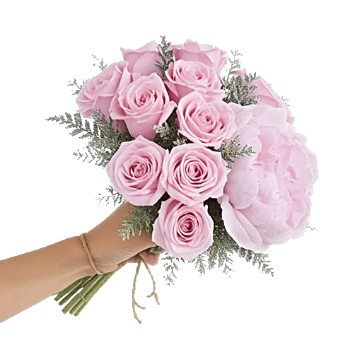 Pastel Pink Roses
