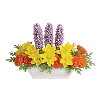 Delicate Petal Cascade