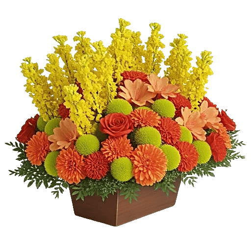 Autumnal Rose Blend