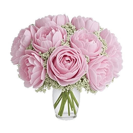 Petal Radiance Bliss