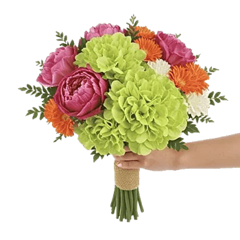 Serene Petal Harmony