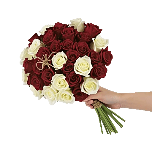 Crimson Rose Elegance