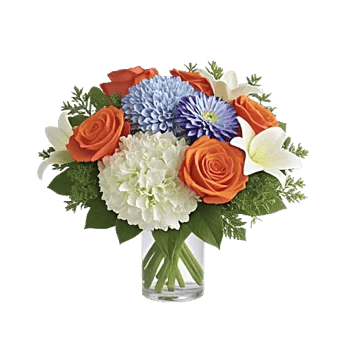 Petal Radiance Bliss