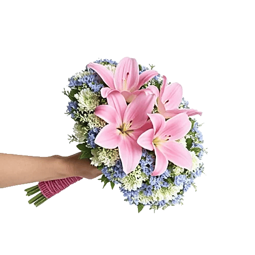 Blossom Petal Serenity