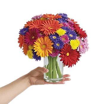 Petal Radiance Bliss