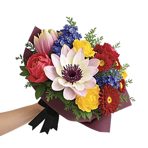 Blossom Grace Spread