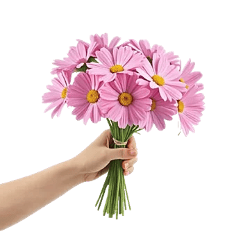 Coral Blossom Harmony