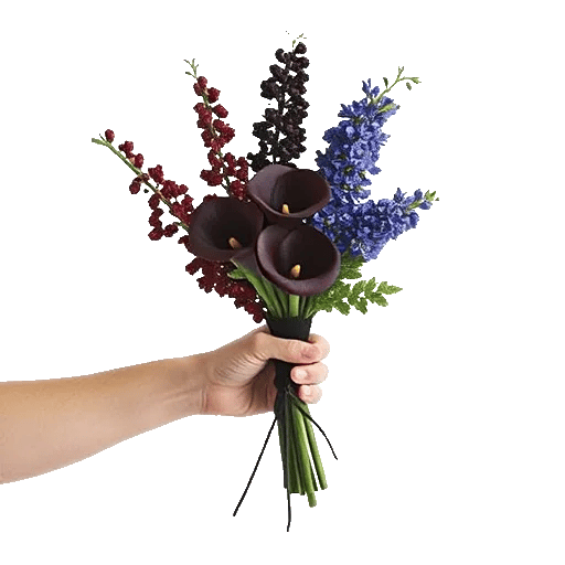 Elegant Calla Lilies