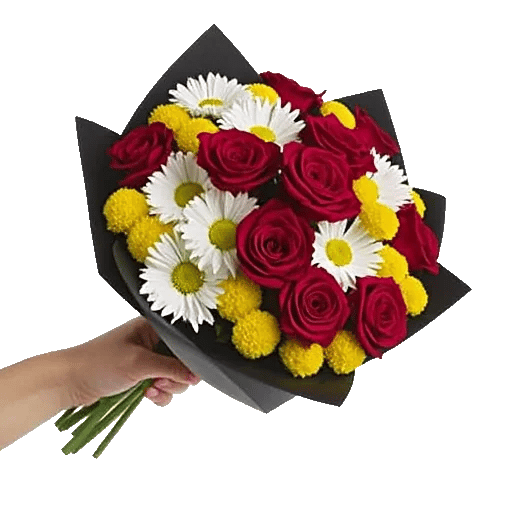 Crimson Rose Elegance