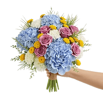 Serene Petal Harmony