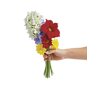 Blossom Harmony Display