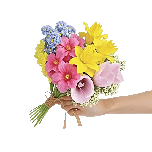 Blossom Petal Serenity