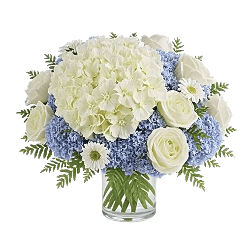 Blooming Serenity Display