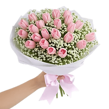 Velvet Tulip Display