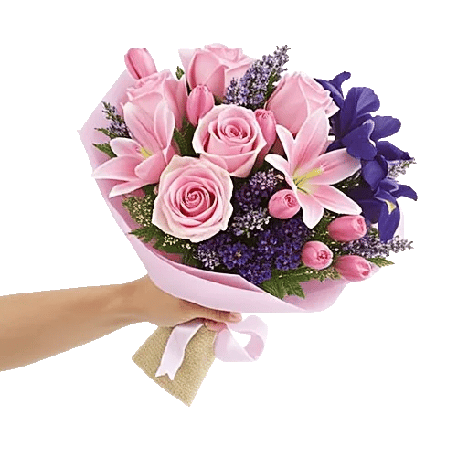 Blushing Rose Symphony