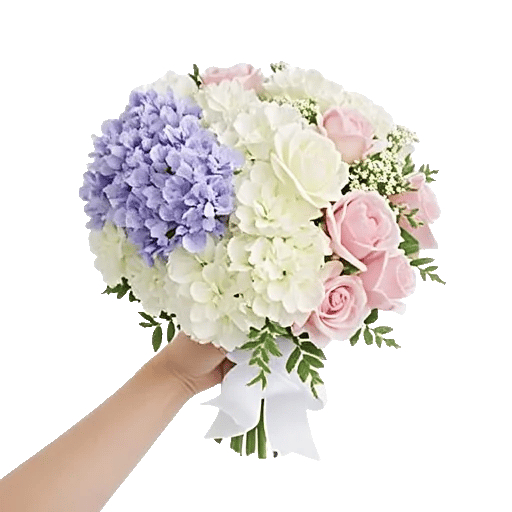 Serene Petal Harmony