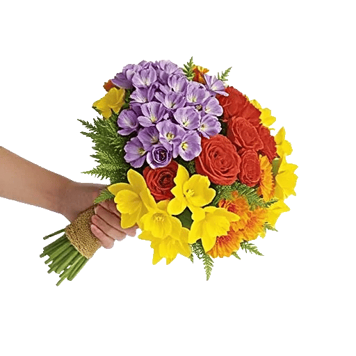 Blossom Petal Serenity