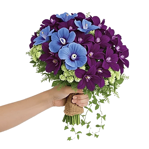 Serenity Orchid Bloom