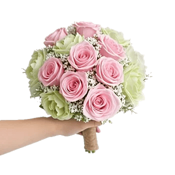 Pastel Pink Roses