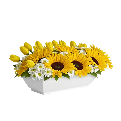 Blossom Harmony Display