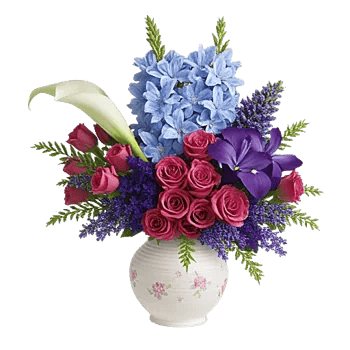 Elegant Calla Lilies