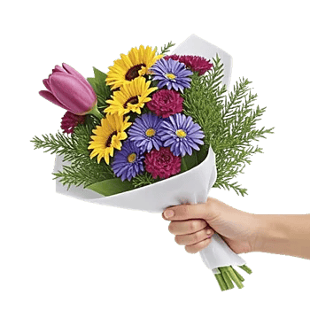 Velvet Tulip Display