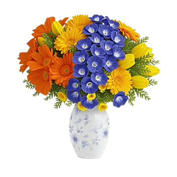 Petal Radiance Bliss