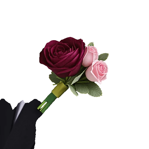 Plum Blossom Radiance