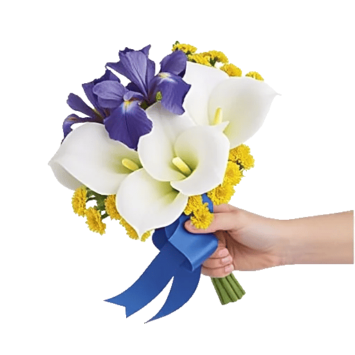 Elegant Calla Lilies