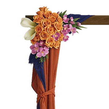 Elegant Calla Lilies