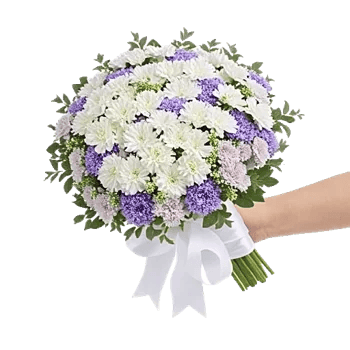 Delicate Petal Cascade