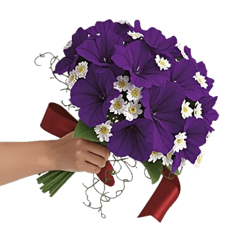 Petal Harmony Bliss