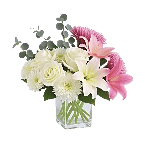 Minimalist White Orchids